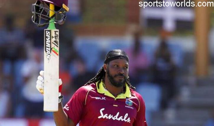 chris gayle net worth